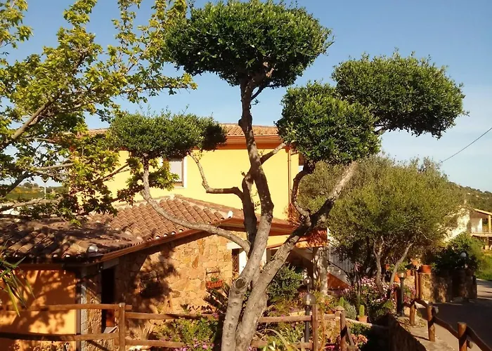 Acquamarina Con Meraviglioso Giardino 度假居 圣特奥多罗