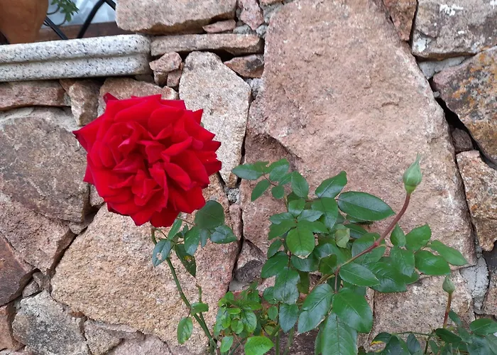 Acquamarina Con Meraviglioso Giardino 度假居 *