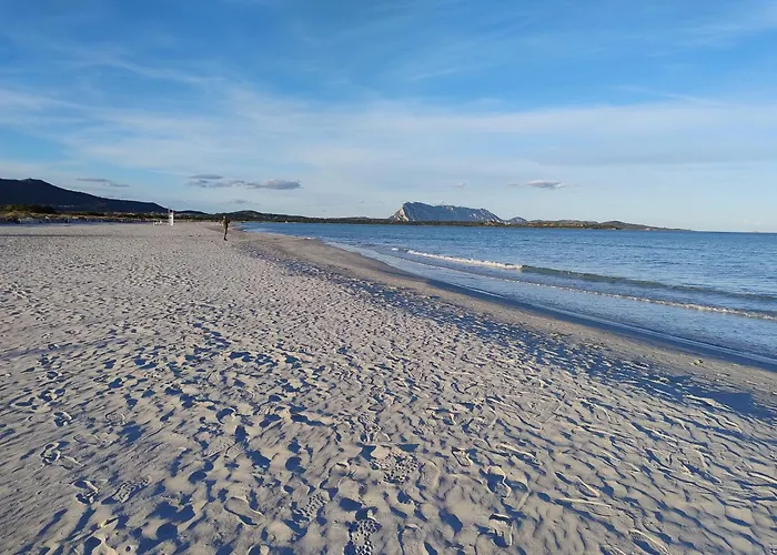 Acquamarina Con Meraviglioso Giardino 度假居
