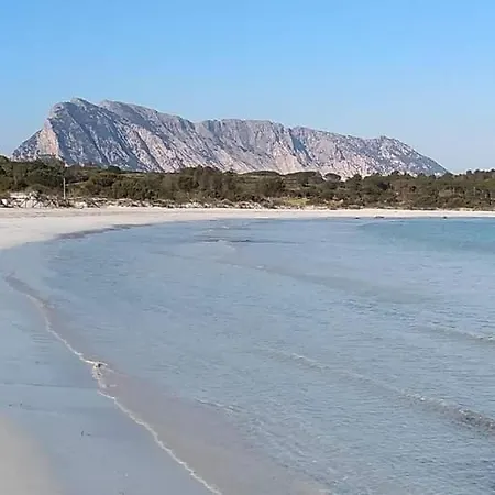 Дом отдыха Acquamarina Con Meraviglioso Giardino