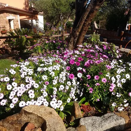 Casa de Férias Acquamarina Con Meraviglioso Giardino San Teodoro (Sardinia)