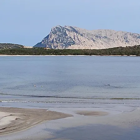 Casa de Férias Acquamarina Con Meraviglioso Giardino San Teodoro (Sardinia)