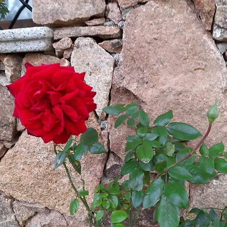 Acquamarina Con Meraviglioso Giardino Casa de Férias *