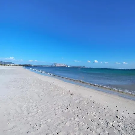 Casa de Férias Acquamarina Con Meraviglioso Giardino *